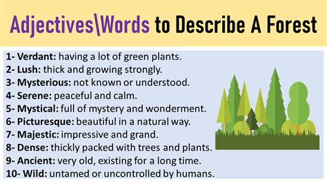 In other cases, color acuity may be lost or all vision is hazy. . How to describe a forest to a blind person